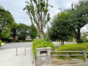 申田公園(さるたこうえん)の画像2