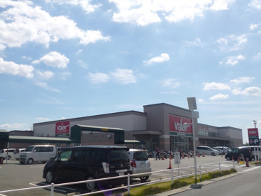ﾊﾞﾛｰの画像2
