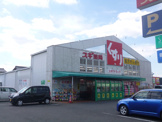 スギ薬局