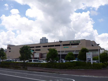 アルプラザ平和堂の画像3