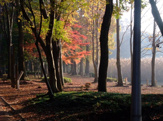同峰公園