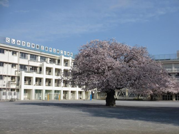 第二小学校の画像1