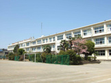ひばりが丘中学校