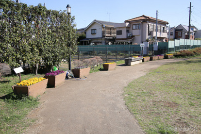 谷戸せせらぎ公園の画像1