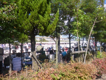 栗東市立 大宝小学校の画像2