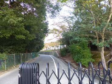 栗東市立 治田東小学校の画像2