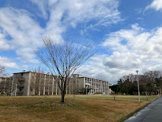 鳥取大学
