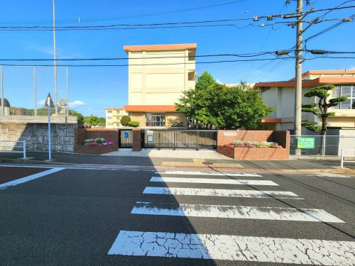 の画像