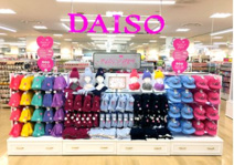 ザ・ダイソー 上池台東急ストア店