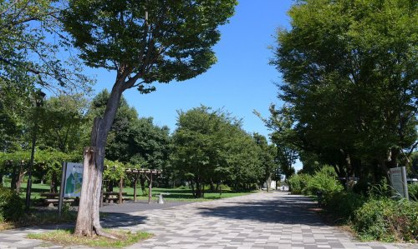 郷土の森公園の画像1