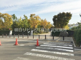 合併記念見沼公園