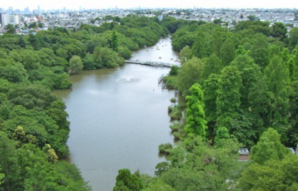 井の頭恩賜公園の画像1