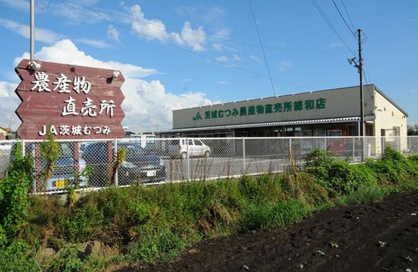 JA茨城むつみ 農産物直売所総和店の画像1