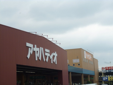 アヤハディオの画像1