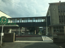 小学校 熊本市立城東小学校