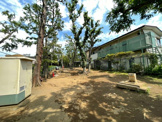 そろの木公園