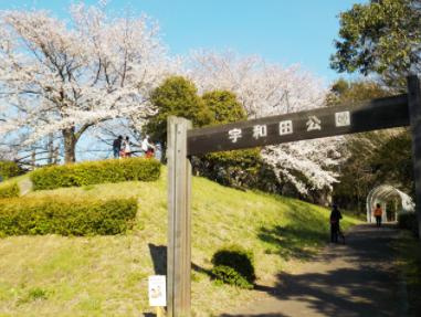 宇和田公園の画像