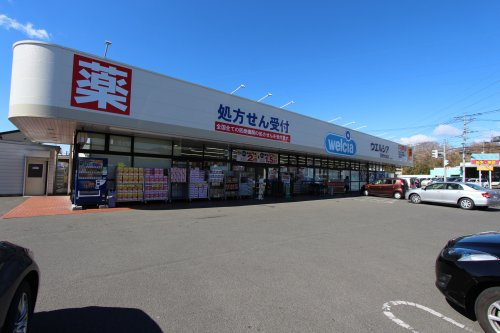 の画像