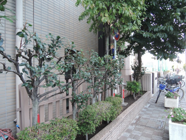 荒川区立 ひぐらし小学校の画像2