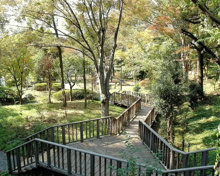 新宿区立みなみもと町公園