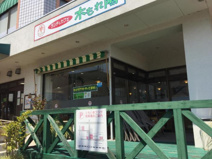 木もれ陽