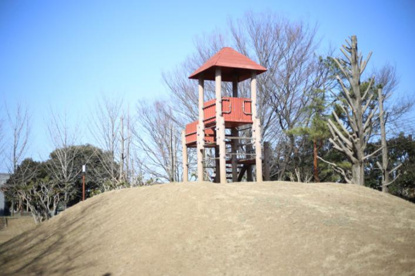 丘里公園の画像1