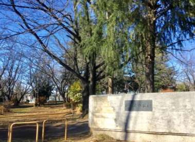 北利根北公園の画像1
