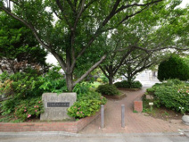 西大泉さくら緑地