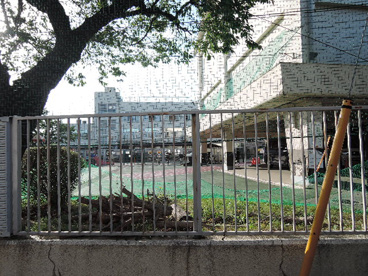 荒川区立　小台橋保育園の画像3