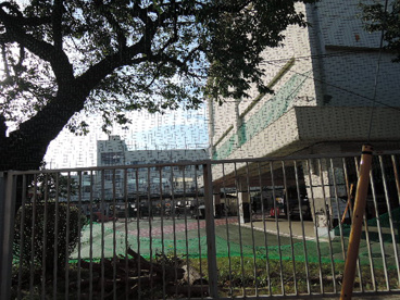 荒川区立　小台橋保育園の画像5
