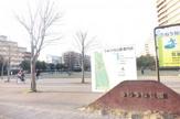 うねうね公園