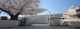 横浜市立市沢小学校の画像