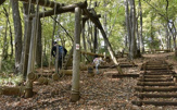 野山北・六道山公園