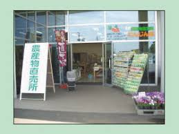 JA千葉みらい 幕張農産物直売所 にんじん畑の画像1