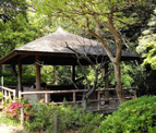 田園調布せせらぎ公園