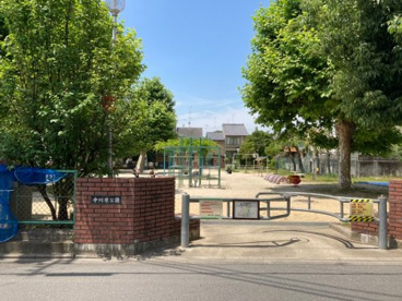 中川原公園の画像1