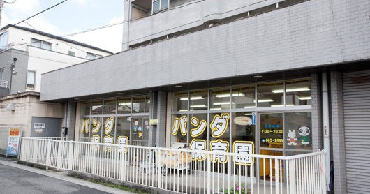 パンダ保育園の画像
