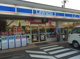 ローソン 大利根道目店の画像