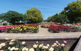 水明公園