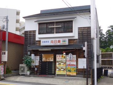 向日葵の画像1