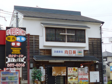 向日葵の画像2