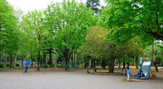 昭和公園