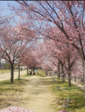 狭山池公園