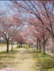 狭山池公園の画像