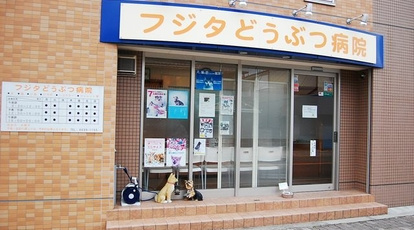 フジタどうぶつ病院の画像1