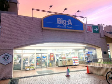 ビッグ・エー 横浜平戸店の画像1