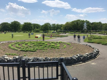 百合が原公園の画像1