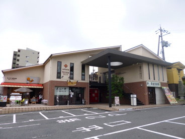 天天有の画像2