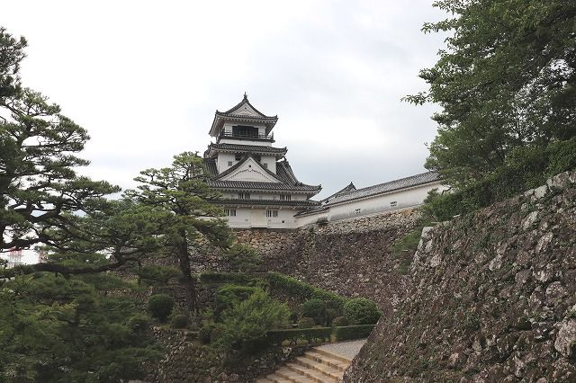 の画像