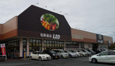レオ市原店